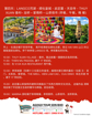 Picture of Explore Vietnam’s Beauty: Da Nang, Hoi An, Ba Na Hills & Hue (5 Days 4 Nights)